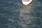 Missing Picture